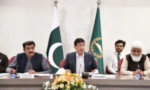 National Assembly IT committee meeting discussing internet connectivity and telecom services in Pakistan.