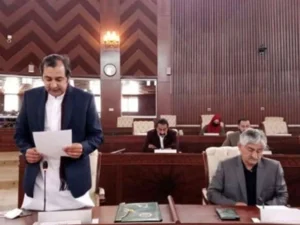 Members of the Gilgit-Baltistan Assembly during a session on interim provincial status.