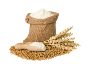 Sindh Food Minister announces suspension of Food Department officials over alleged wheat hoarder collusion.