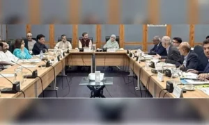 Karachi's Hyatt Regency building discussed during a Senate committee meeting on privatisation.