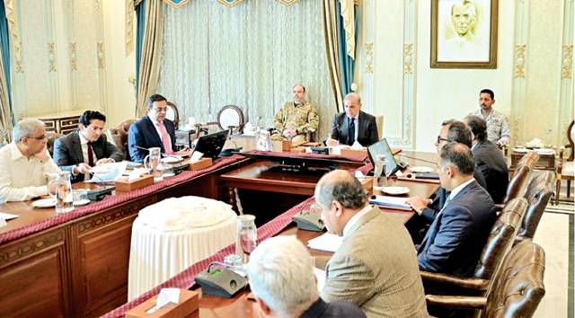 Shehbaz Sharif chairs a high-level meeting on Pakistan's economy and petroleum reserves.
