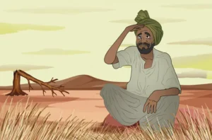 Sindh Water shortage affecting paddy fields during the kharif season