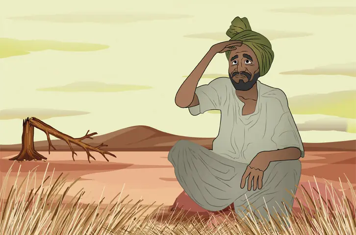 Sindh Water shortage affecting paddy fields during the kharif season