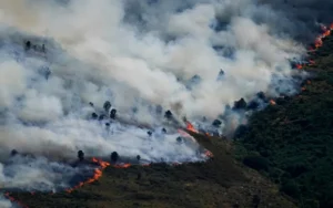 Wildfires spread across France and Spain as emergency crews respond to large-scale evacuations and extreme fire conditions.