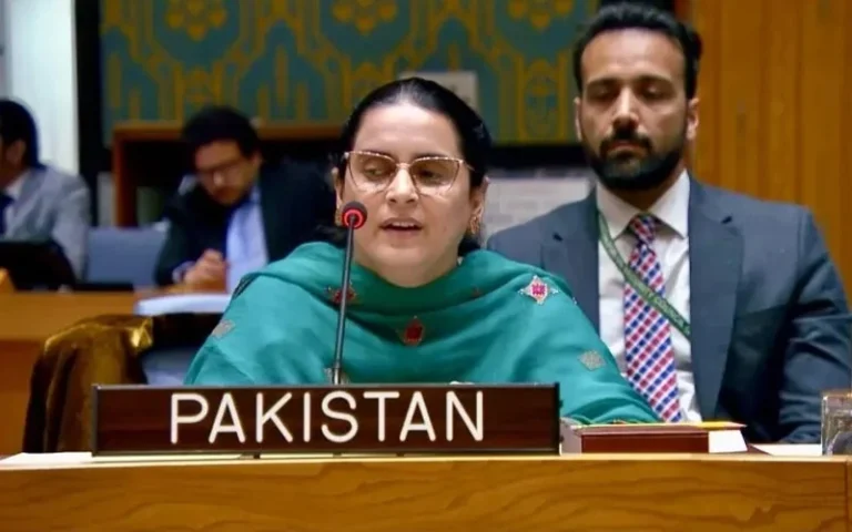 Pakistan's representative speaks at the UN Security Council on the Kashmir dispute.