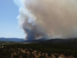 Wildfires burn across parts of Madrid and Ávila as emergency crews respond to Spain's national emergency.