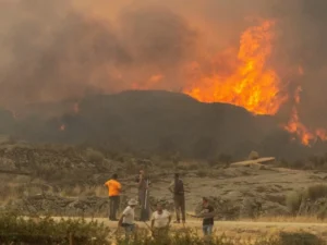 Dense wildfire smoke blankets parts of France and Spain amid severe forest fires.