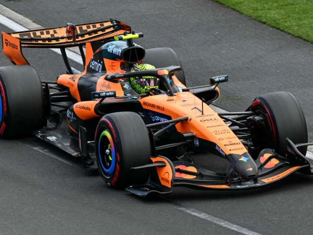 McLaren driver Lando Norris drives during the final practice session for the Hungarian Grand Prix at the Hungaroring.
