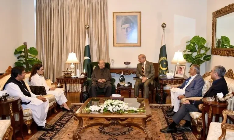 Shehbaz Sharif briefs Asif Ali Zardari on Pakistan Saudi Turkiye defence pact