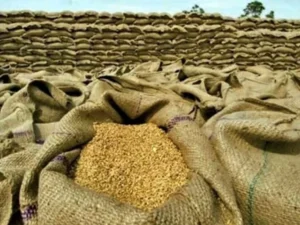 Wheat sacks at a market amid rising wheat and flour prices in Pakistan