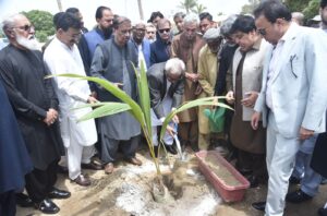 Governor Sindh Syed Muhammad Nehal Hashmi plants a sapling at Governor House Karachi to inaugurate Independence Day 2026 celebrations.