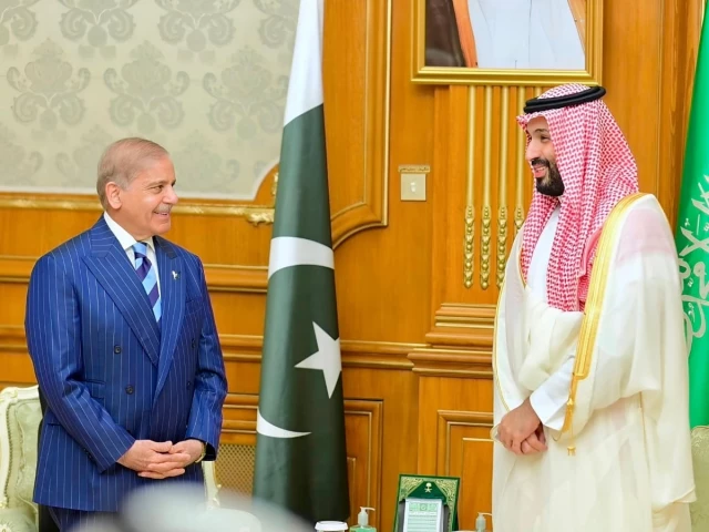 Prime Minister Shehbaz Sharif and Crown Prince Mohammed bin Salman hold a bilateral meeting at Al-Safa Palace in Makkah.