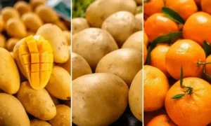 SE Fruits and Vegetable IPO book building oversubscribed 1.6 times