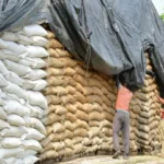 Pakistan wheat import tender for 750000 tonnes of 2026 crop