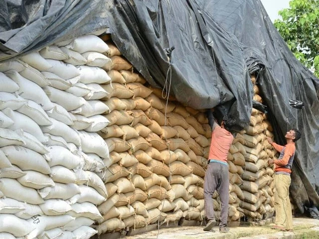 Pakistan wheat import tender for 750000 tonnes of 2026 crop