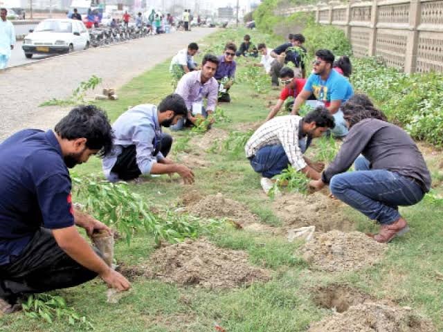 NED University students planting trees on campus for sustainability