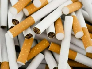 Experts discuss Tobacco Harm Reduction framework and tobacco control in Pakistan