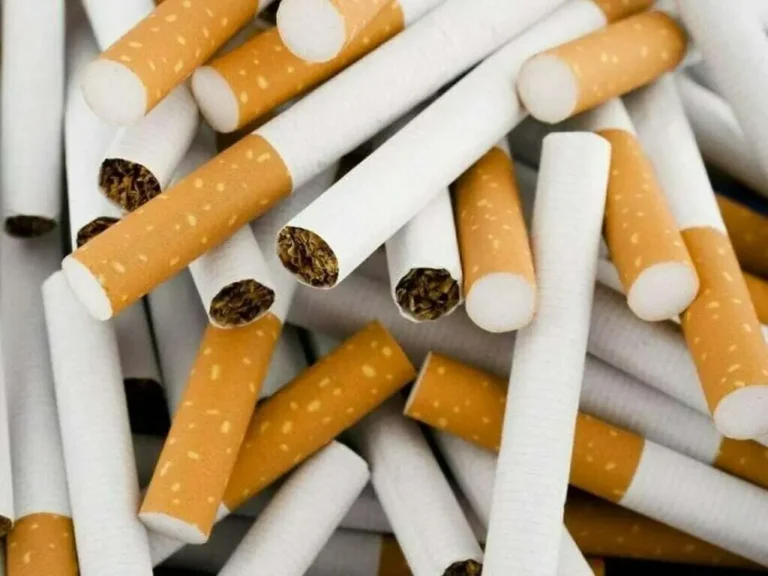 Experts discuss Tobacco Harm Reduction framework and tobacco control in Pakistan