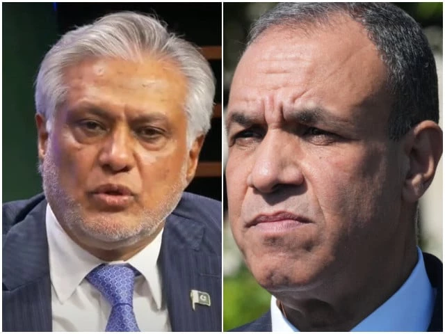 Ishaq Dar and Badr Abdelatty discuss Pakistan Egypt relations and R4 consultations
