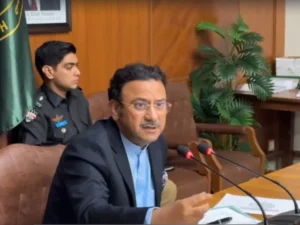 Sindh Home Minister Zia Ul Hasan Lanjar before Mir Raza Ali judicial commission