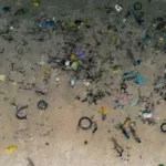 DeepLitterAI artificial intelligence system detects plastic waste on seabed