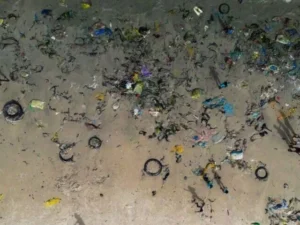 DeepLitterAI artificial intelligence system detects plastic waste on seabed