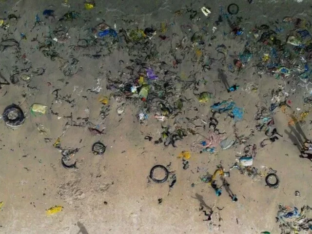DeepLitterAI artificial intelligence system detects plastic waste on seabed