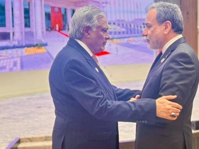Ishaq Dar meets Iranian, Chinese and other regional officials during the SCO summit in Bishkek.