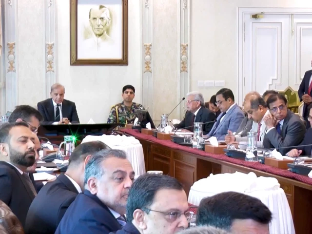 Shehbaz Sharif reviews agricultural financing and SME loans in Pakistan