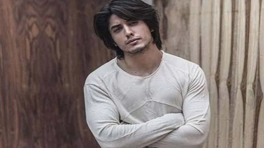 Danyal Zafar, known as Danny Zee, who announced a temporary break from acting and music commitments.