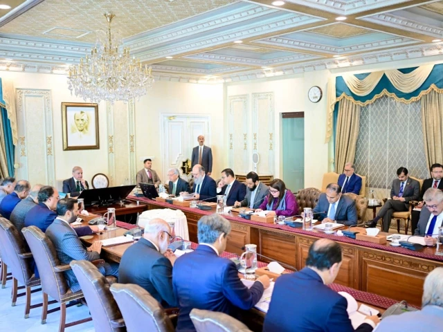 Prime Minister Shehbaz Sharif reviews artificial intelligence and digital transformation projects with government officials